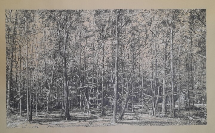 Dessin intitulée "Forêt" par Michèle Caranove, Œuvre d'art originale, Encre