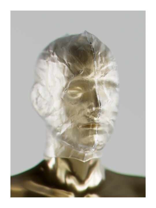 "Portrait Andromeda-2" başlıklı Baskıresim Michele Iannizzotto tarafından, Orijinal sanat, 3D modelleme