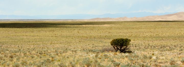 Photography titled "Sand dunes in Color…" by Mike Messina, Original Artwork