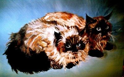 Peinture intitulée "le couple de chats" par Michele Imbert, Œuvre d'art originale, Huile