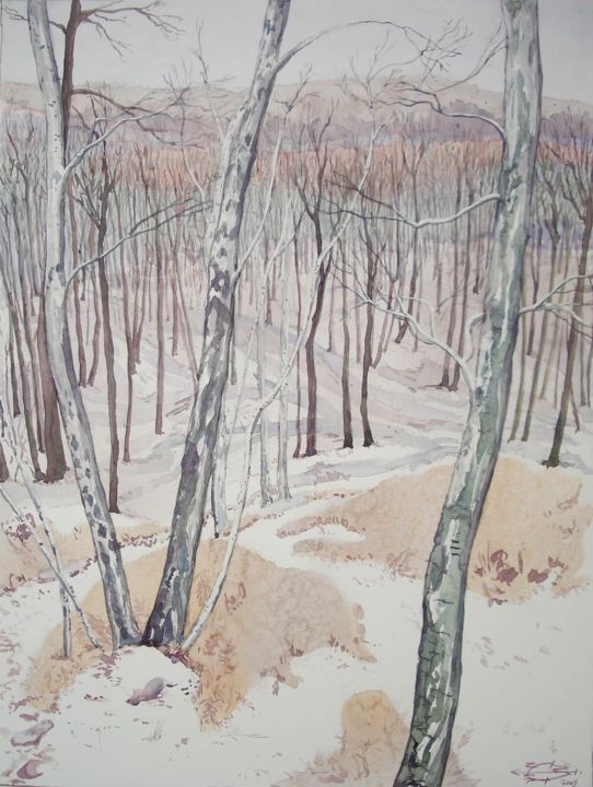 Pintura intitulada "Janvier en Forêt" por Michel Munier, Obras de arte originais, Aquarela