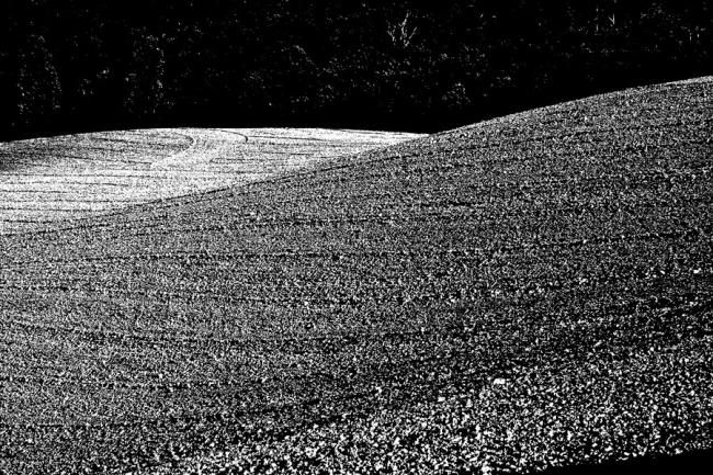 Photographie intitulée "Paysages simorrains…" par Michel Plante, Œuvre d'art originale