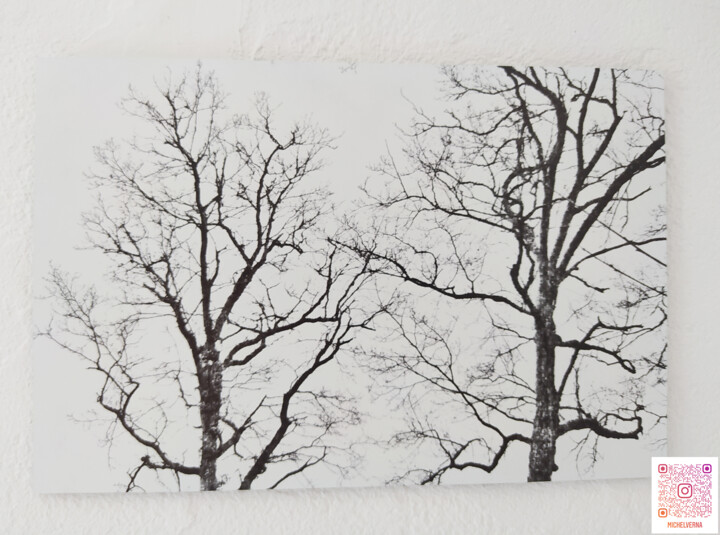 Photographie intitulée "Paroles d'arbres" par Michel Verna, Œuvre d'art originale, Photographie numérique