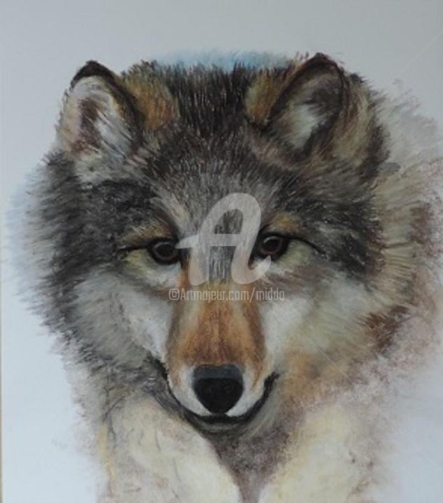 Dibujo titulada "LE LOUP" por Middo, Obra de arte original, Pastel