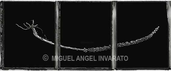 Photography titled "La Puerta Del Silen…" by Miguel Angel Invarato, Original Artwork