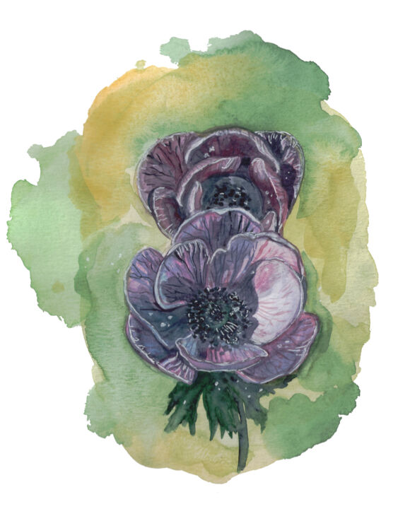Painting titled "Anemone purple flow…" by Mika Shigeru, Original Artwork, Watercolor