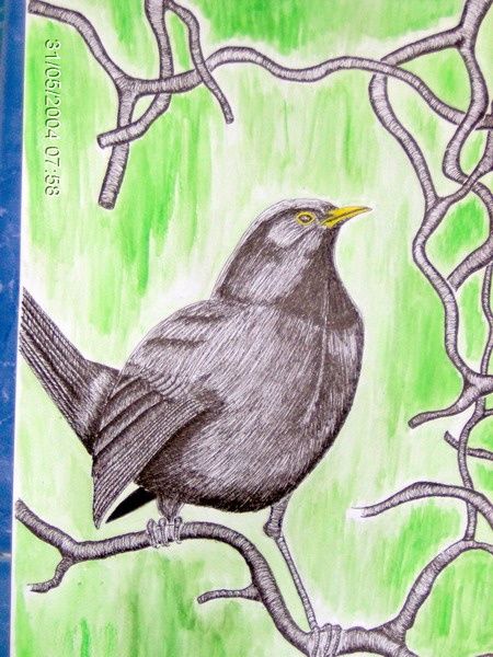 绘画 标题为“black bird” 由Draig Anchan, 原创艺术品, 油