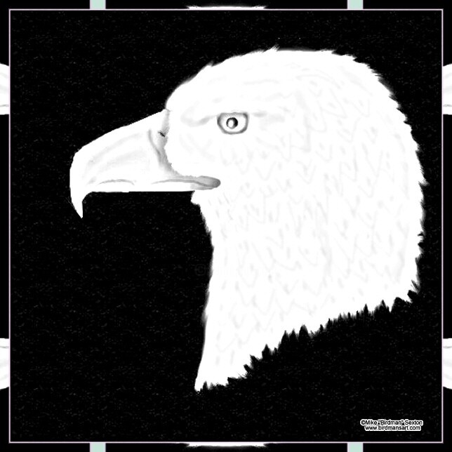 Malarstwo zatytułowany „Black & White Eagle” autorstwa Mike Sexton, Oryginalna praca, Olej