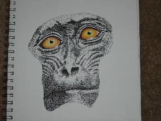 Drawing titled "Monkey Face" by Mikel Nation, Original Artwork