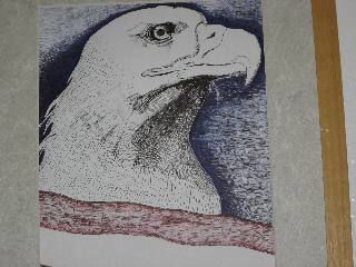 Drawing titled "American Eagle" by Mikel Nation, Original Artwork