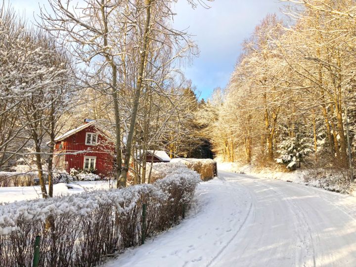 Photography titled "Cabin" by Mikersson, Original Art,
