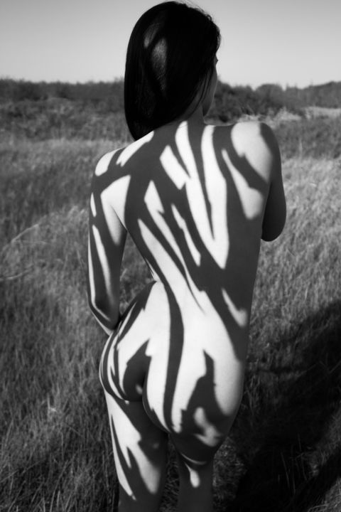 Photographie intitulée "zebra 14" par Mikhail Faletkin, Œuvre d'art originale, Photographie numérique