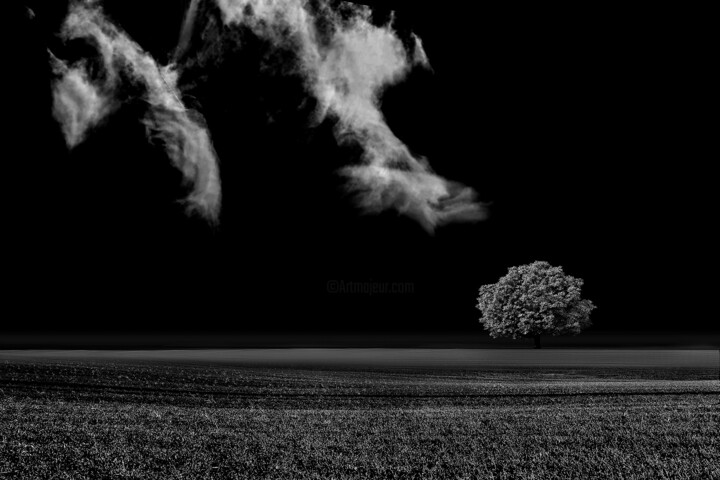 摄影 标题为“Tree Of Life Limite…” 由Milan Karagic, 原创艺术品, 数码摄影