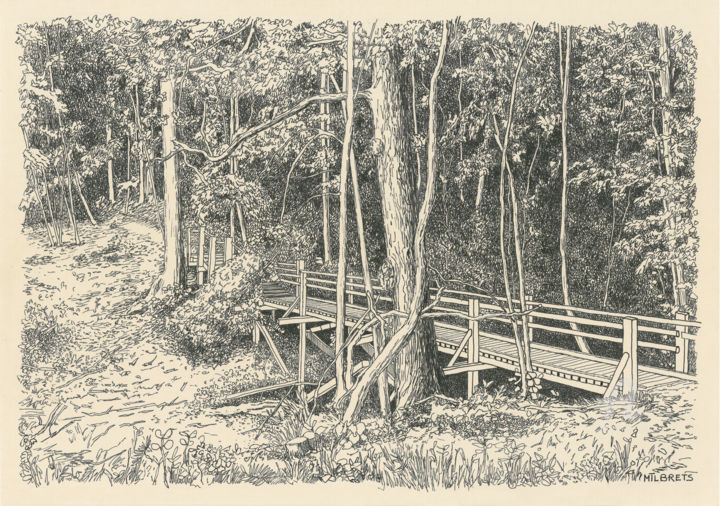 Drawing titled "A Pathway In The Wi…" by Lauris Milbrets, Original Artwork, Gel pen