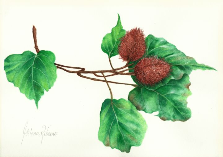 Painting titled "Urucum" by Milena Ribeiro, Original Artwork