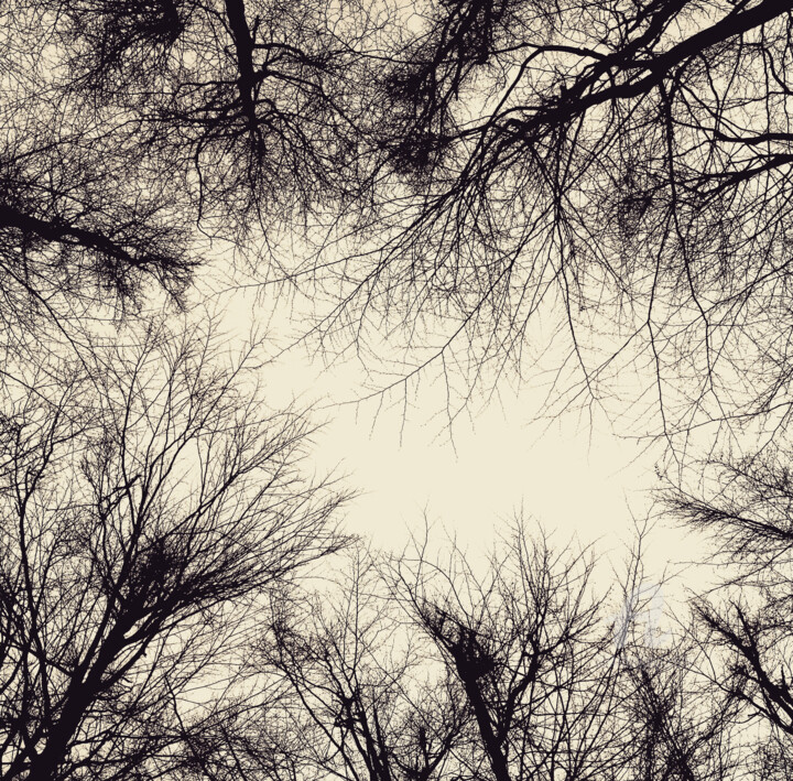 Photography titled "Above the trees" by Miler Art, Original Artwork, Digital Photography