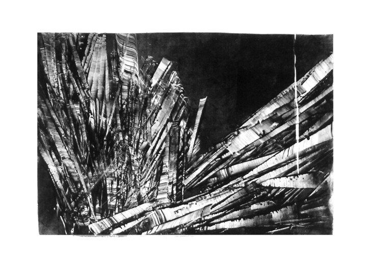 Incisioni, stampe intitolato "Incartade" da Mine Palayer, Opera d'arte originale, Monotipo