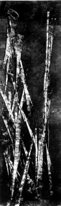 Incisioni, stampe intitolato "Brins d'acier" da Mine Palayer, Opera d'arte originale, Monotipo
