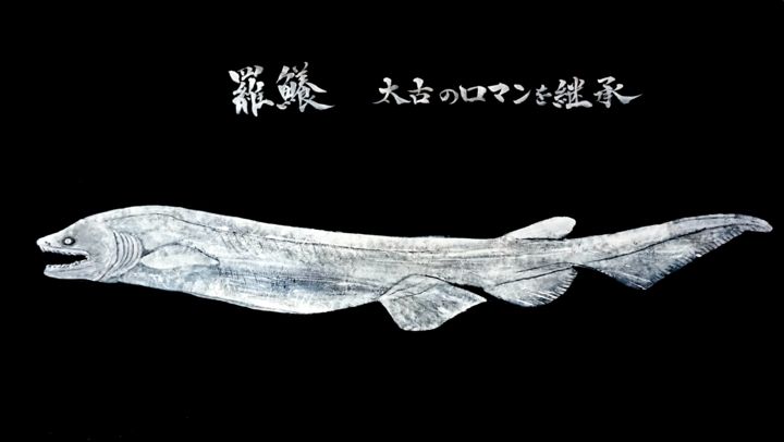 Prenten & gravures getiteld "Frilled shark.jpg" door Mineo Yamamoto, Origineel Kunstwerk, Anders