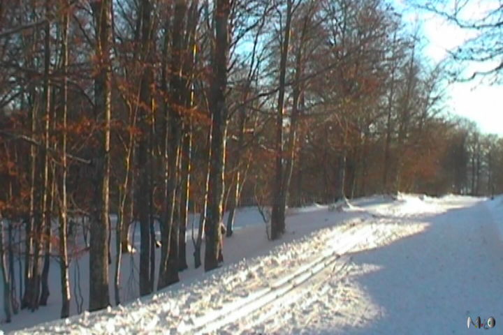 Fotografia zatytułowany „Neige_07” autorstwa Miodrag Aubertin, Oryginalna praca