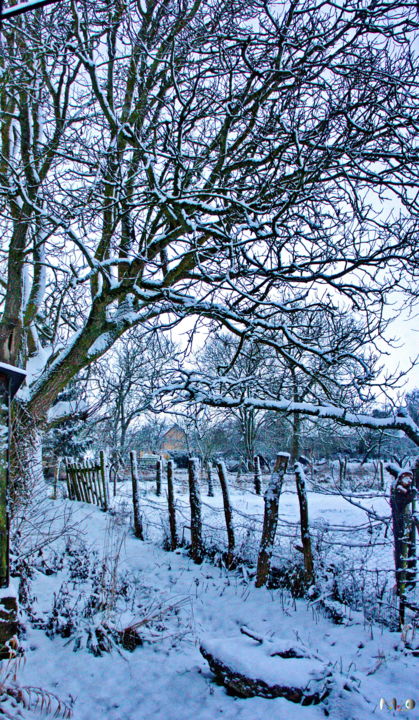 Fotografia zatytułowany „Hivers 2010” autorstwa Miodrag Aubertin, Oryginalna praca