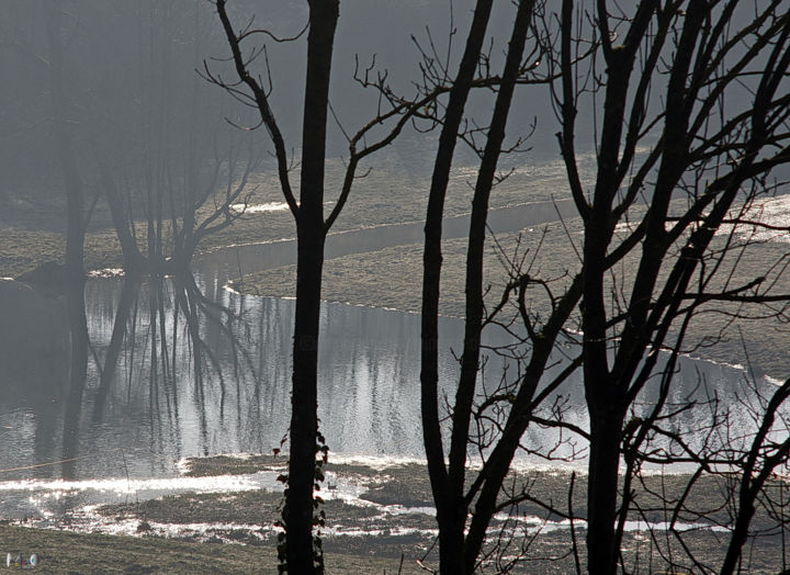 Photography titled "Reflet hivernal" by Miodrag Aubertin, Original Artwork