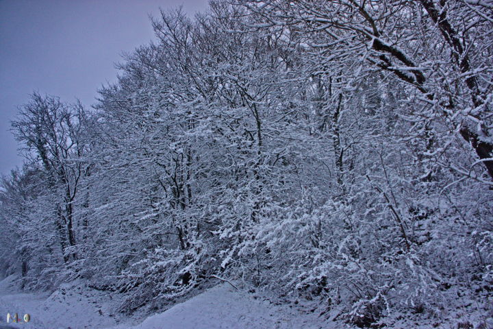 Fotografia zatytułowany „Arbres enneigés 11” autorstwa Miodrag Aubertin, Oryginalna praca