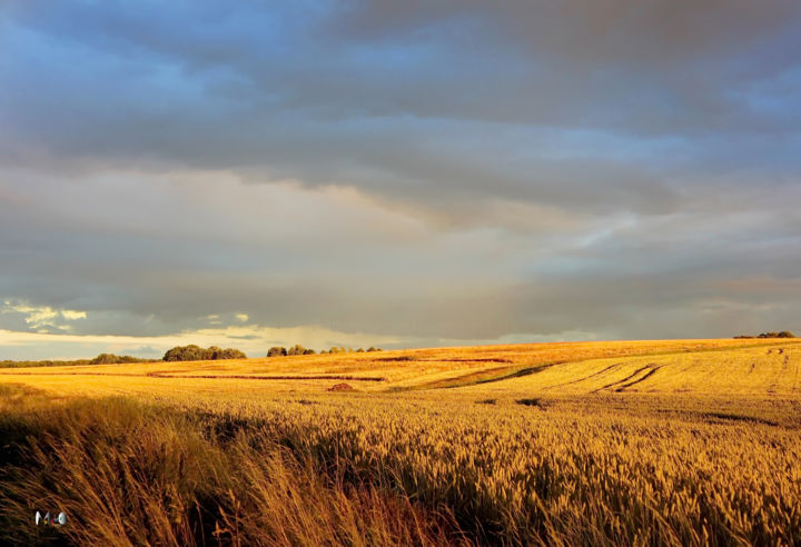 Photography titled "entre ciel et terre…" by Miodrag Aubertin, Original Artwork