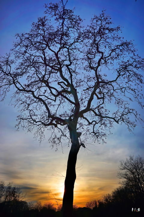 Photographie intitulée "coucher de soleil 1…" par Miodrag Aubertin, Œuvre d'art originale