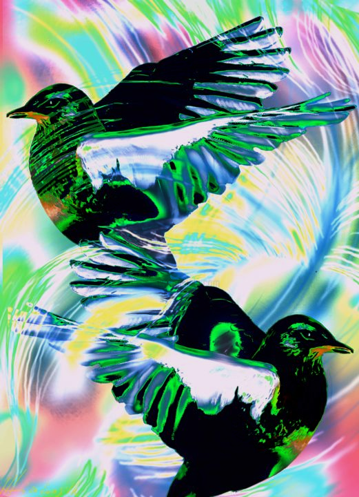 Arte digitale intitolato "PopBirds" da Mira Lanzillo, Opera d'arte originale, Pittura digitale