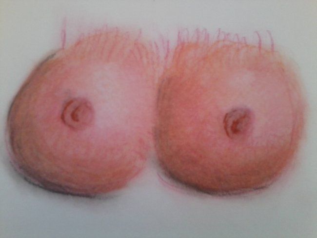 Drawing titled "breasts" by Mischa, Original Artwork, Other