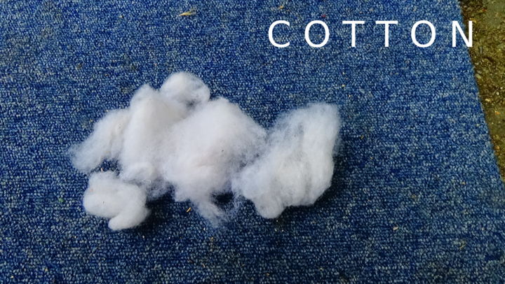 「cotton.jpg」というタイトルの絵画 Inpolによって, オリジナルのアートワーク