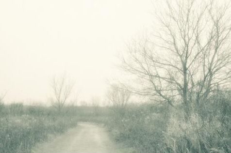 Photography titled "The Way Home" by Mitch Labuda, Original Artwork