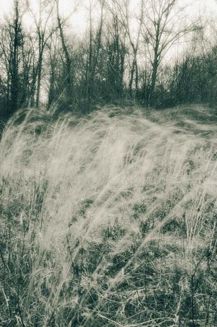 Photography titled "The Wind Spoke Soft…" by Mitch Labuda, Original Artwork