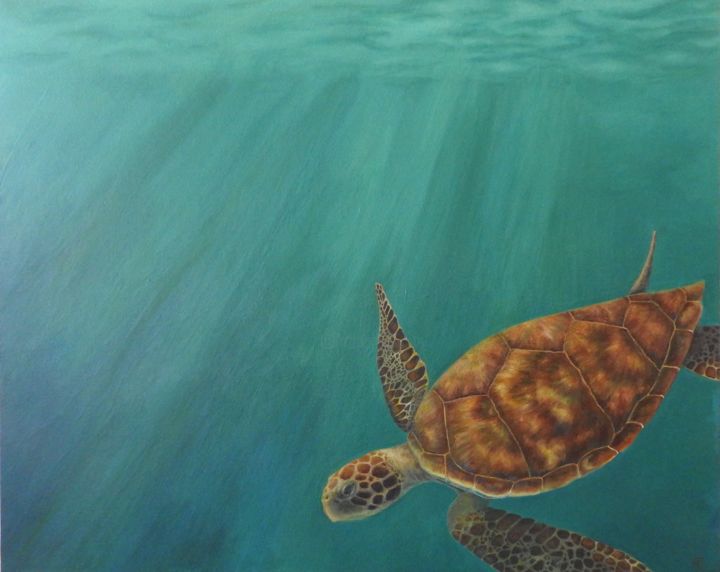Schilderij getiteld "Hawksbill Sea Turtle" door Marika Jaeger, Origineel Kunstwerk, Acryl