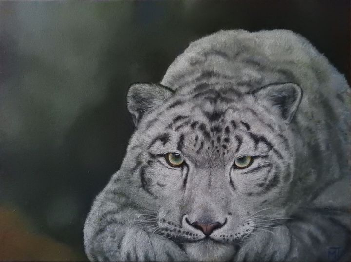 Pittura intitolato "Snow Leopard" da Marika Jaeger, Opera d'arte originale, Acrilico
