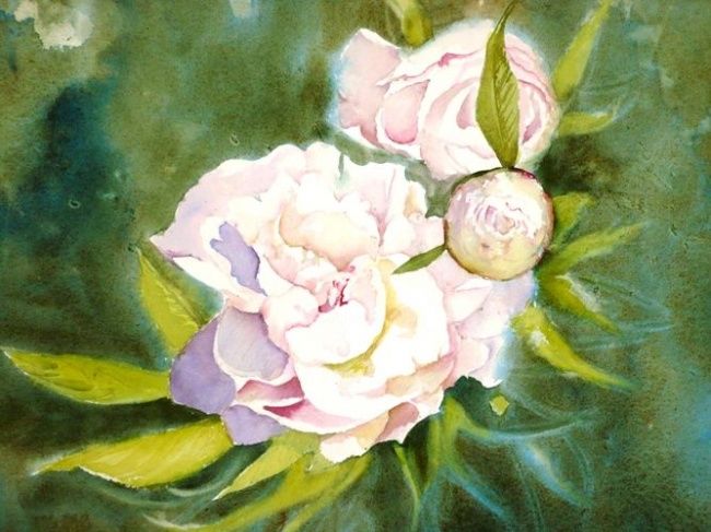 Painting titled "PIVOINES" by Marie-Jeanne Bronzini, Original Artwork, Watercolor