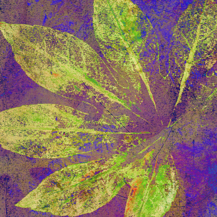 Digital Arts titled "Fatsia Japonica 2" by Melj, Original Art, 2D Digital Work