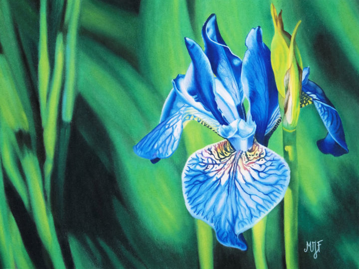 Картина под названием "Iris" - Marie-Jeanne Fawer, Подлинное произведение искусства, Пастель