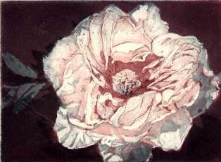 Ζωγραφική με τίτλο "Rosa" από Marie Josèphe James, Αυθεντικά έργα τέχνης