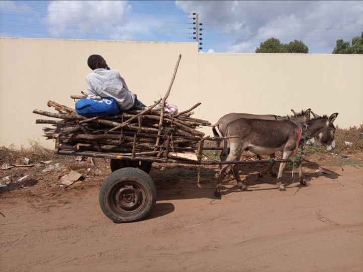 Photography titled "Donkey Cargo, Photo…" by Jafeth Moiane, Original Artwork, Digital Photography