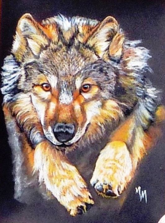 Drawing titled "loup-pastel-p100021…" by Mm Saudade, Original Artwork, Pastel