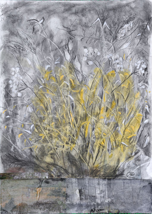 Collages titled "Weeds" by Marina Marinopoulos, Original Artwork, Charcoal