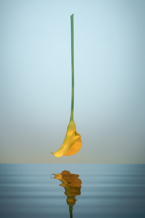 Fotografía titulada "Floating flower" por Mmiri, Obra de arte original, Fotografía digital