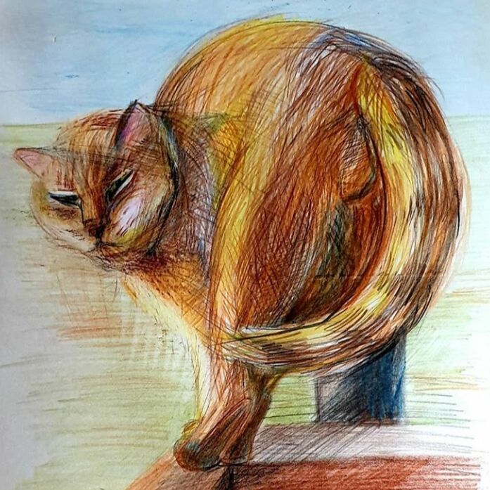 Картина под названием "Кот" - Mm, Подлинное произведение искусства, Цветные карандаши
