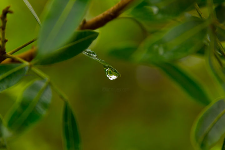 Fotografia intitulada "Gota" por Moah Mattos, Obras de arte originais, Fotografia digital