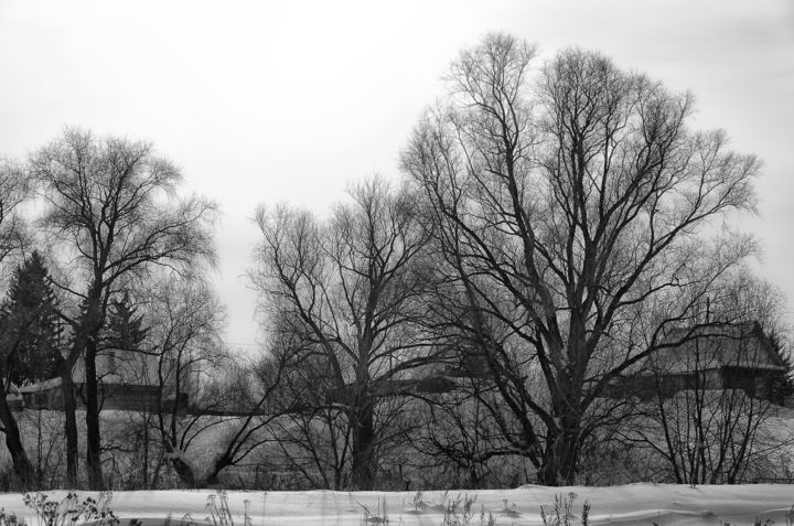 Photography titled "Winter. Village. Da…" by M.N. Wind, Original Artwork