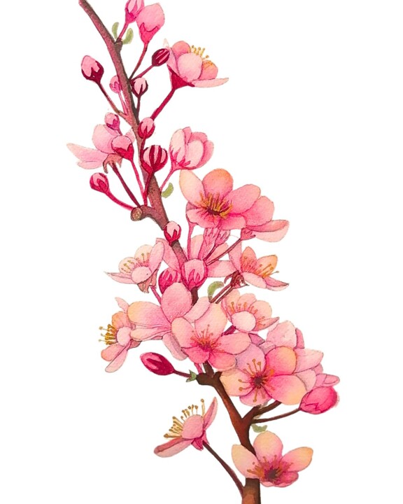 Pintura titulada "Flores de cerezo" por Mónica Tejero Green, Obra de arte original, Acuarela