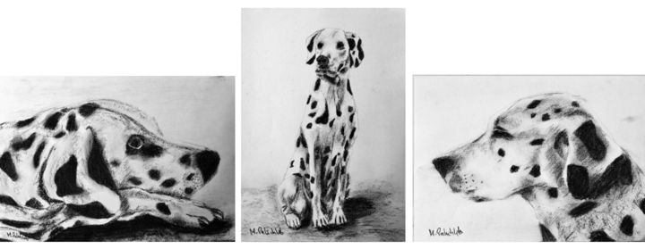 Dessin intitulée "Dalmatians Triptych" par M. Palichleb Art, Œuvre d'art originale, Fusain
