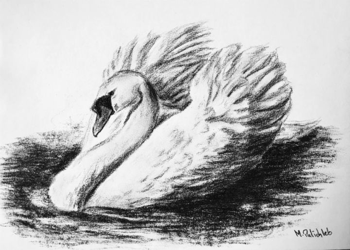 Drawing titled "Swan" by M. Palichleb Art, Original Artwork, Charcoal